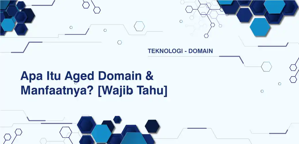 Apa Itu Aged Domain & Manfaatnya? [Wajib Tahu]